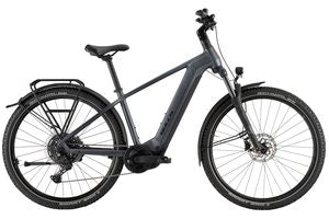 Bulls Iconic Evo 1 | 800 Wh | Herren | 2026