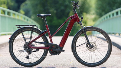 E-Bike Trekking Damen Trapez