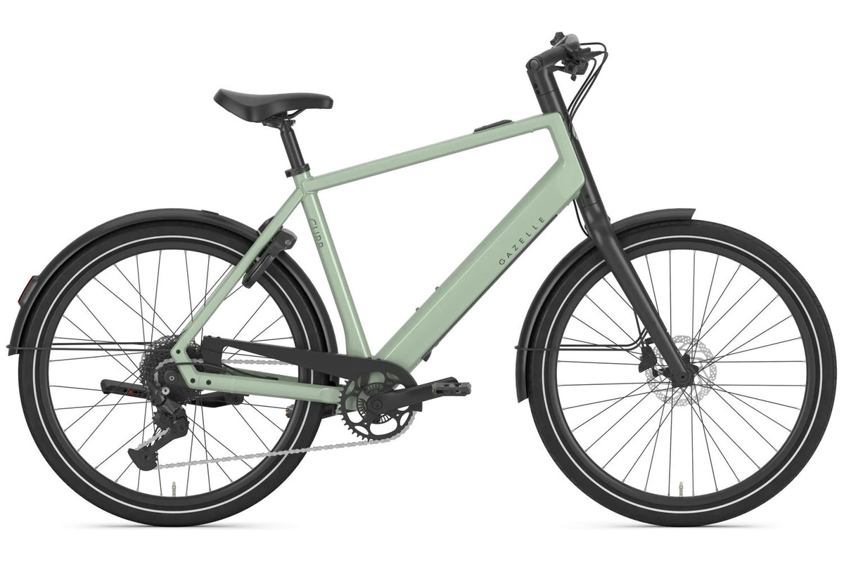 Gazelle Curb T9 - Pistache Green