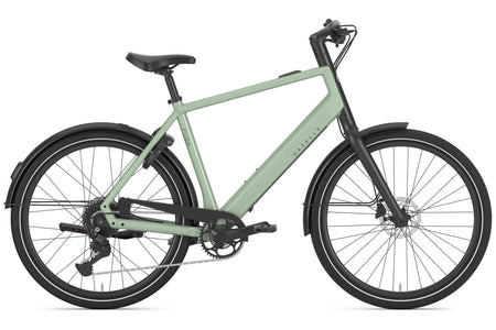 Gazelle Curb T9 - Pistache Green