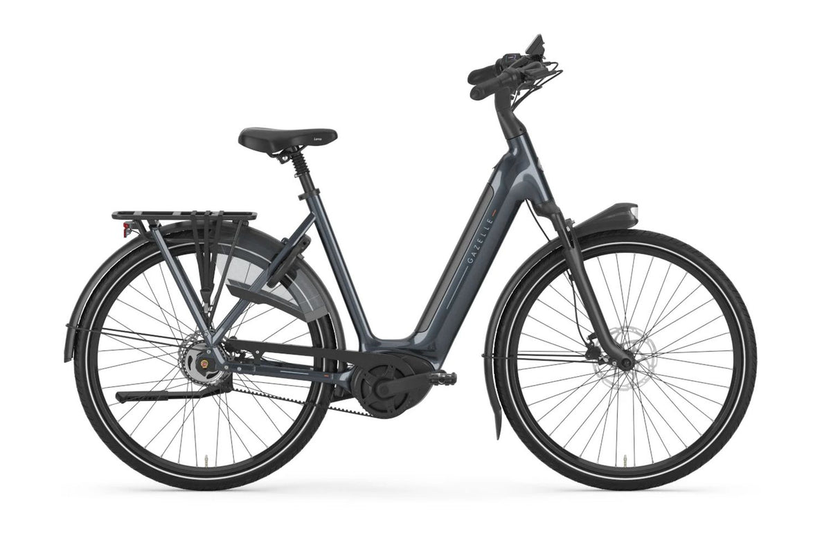 Gazelle Grenoble C5 | Damen | grau | 2026