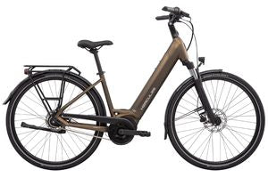 Hercules Lyon I-R8 | Damen | gold | 2026