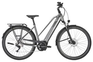 Pegasus Premio Evo 10 | 750 Wh | Trapez | 2026