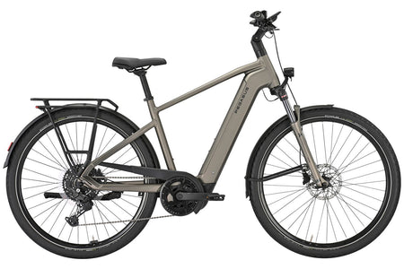 Pegasus Premio Evo 10 Lite 800 Wh Herren grau 2026