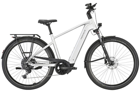 Pegasus Premio Evo 10 Lite 800 Wh Herren silber 2026