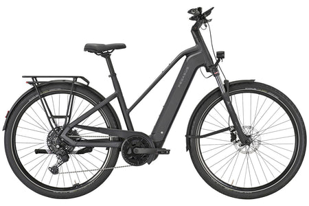 Pegasus Premio Evo 10 Lite | 800 Wh | Trapez | schwarz | 2026