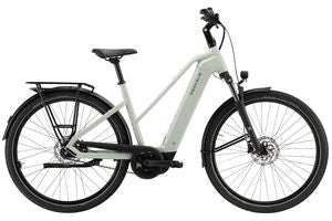 Pegasus Solero Evo 10 | 800 Wh | Trapez | sage | 2026