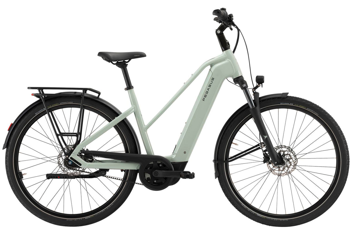 Pegasus Solero Evo 10 | 800 Wh | Trapez | sage | 2026