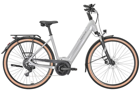 Pegasus Solero Evo 9 | 625 Wh | Damen | grau