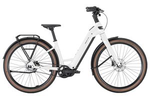 Bulls Sturmvogel Evo | 800 Wh | Tiefeinstieg 