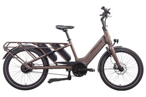 Hercules Rob Family F360 | 2x 545 Wh | E-Cargo 
