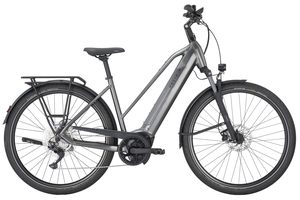 Pegasus Premio Evo 10 | 750 Wh | Trapez | 2026 
