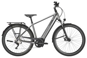 Pegasus Premio Evo 10 | 750 Wh | Diamant | 2026 