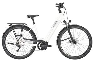 Pegasus Premio Evo 10 | 750 Wh | Tiefeinstieg | 2026 