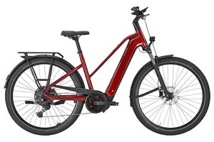 Pegasus Premio Evo 10 Lite | 800 Wh | Trapez | 2026 