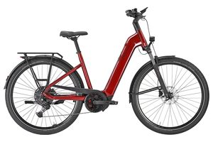 Pegasus Premio Evo 10 Lite | 600 Wh | Tiefeinstieg | 2026 