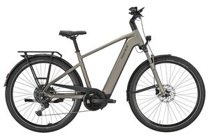 Pegasus Premio Evo 10 Lite 800 Wh Herren 2026 