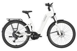 Pegasus Premio Evo FS 10 Lite | 800 Wh | Tiefeinstieg 