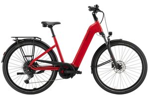 Pegasus Solero Evo 10 | 800 Wh | Tiefeinstieg | 2026 