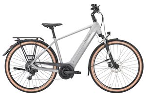 Pegasus Solero Evo 9 | 625 Wh | Diamant 