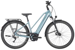 Pegasus Premio Evo 10 | 750 Wh | Trapez | 2026 