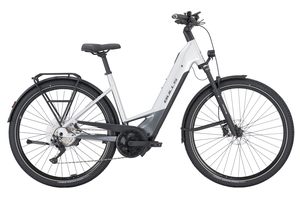 Bulls Cross Lite Evo 1 | 800 Wh | Tiefeinstieg 