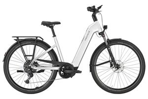 Pegasus Premio Evo 10 Lite | 800 Wh | Tiefeinstieg | 2026 