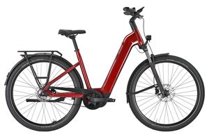 Pegasus Premio Evo 5F Belt | 800 Wh | Tiefeinstieg 