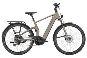 Pegasus Premio FS 10 Lite | 800 Wh | Diamant 