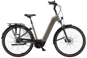 Pegasus Ravenna Evo 7F Belt | 600 Wh | Tiefeinstieg | 2026 