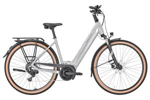 Pegasus Solero Evo 9 | 625 Wh | Tiefeinstieg 