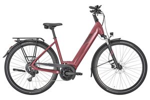 Pegasus Solero Evo 9 | 500 Wh | Tiefeinstieg 