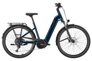 Pegasus Strong Evo 10 Lite | 800 Wh | Tiefeinstieg 