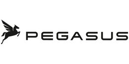 Pegasus